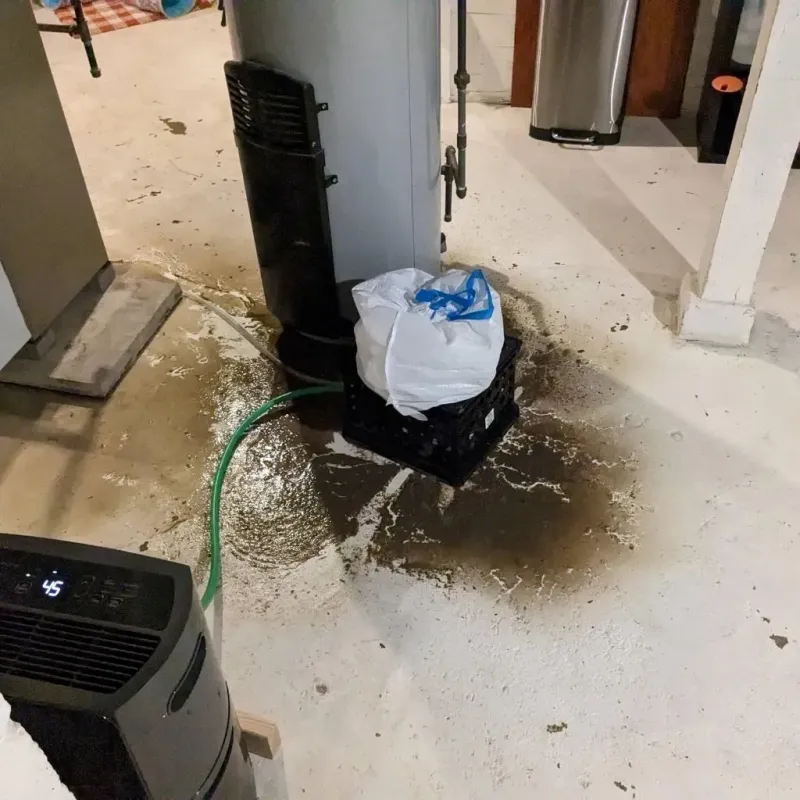 Sewage Backup Cleanup Service in Crescent Springs, KY